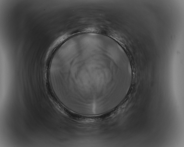 X0000086760149200705041455