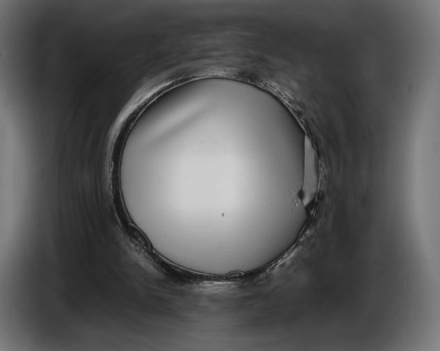 X0000086760150200705041455