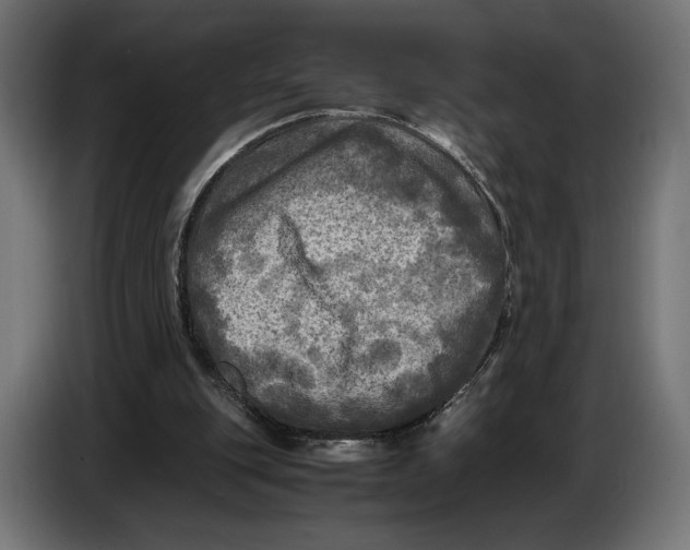 X0000086760151200705041455