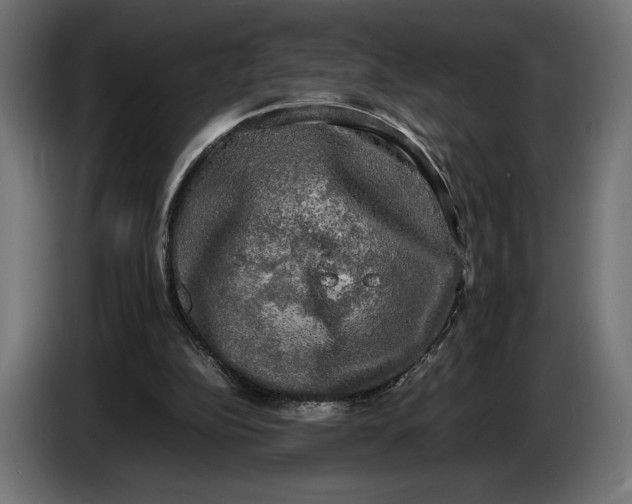 X0000086760152200705041455