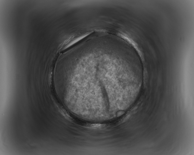 X0000086760153200705041455