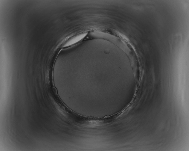 X0000086760154200705041455