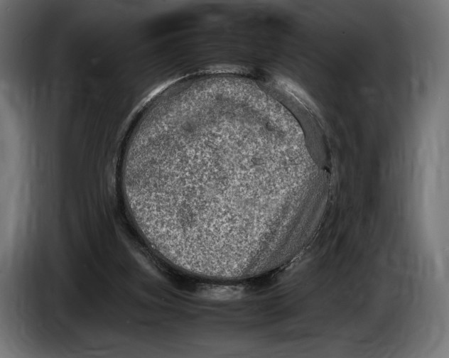 X0000086760155200705041455