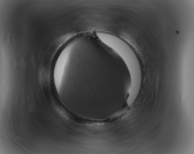 X0000086760156200705041455