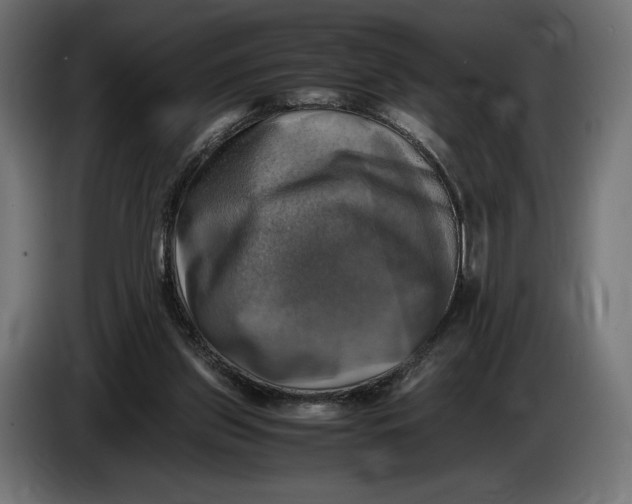 X0000086760157200705041455