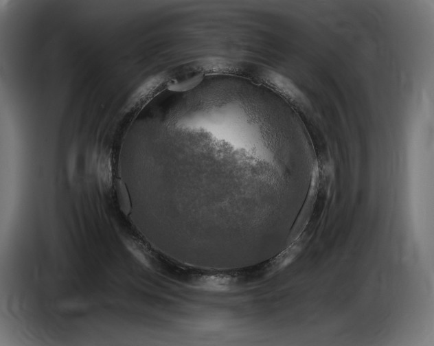 X0000086760158200705041455