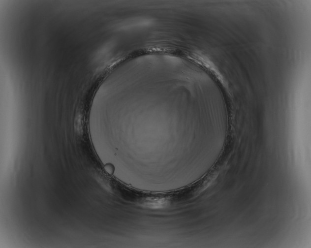 X0000086760161200705041455