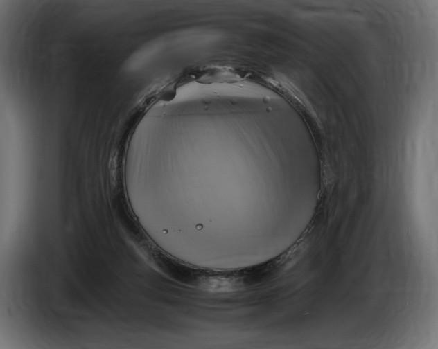 X0000086760163200705041455