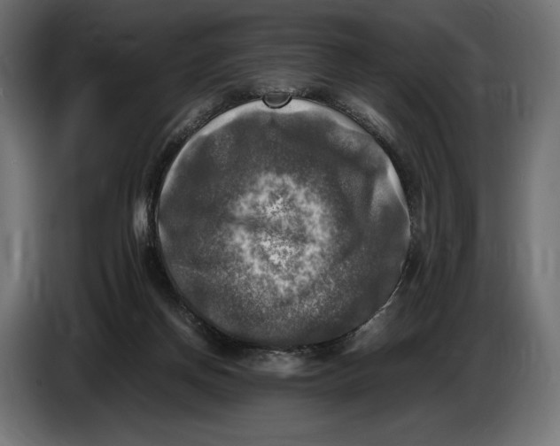 X0000086760166200705041455