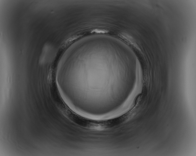 X0000086760167200705041455