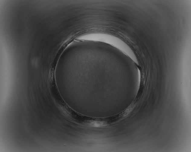 X0000086760168200705041455