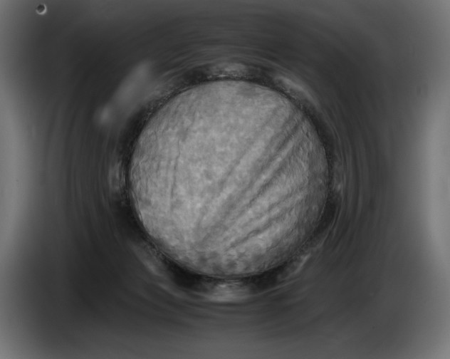 X0000086760173200705041455