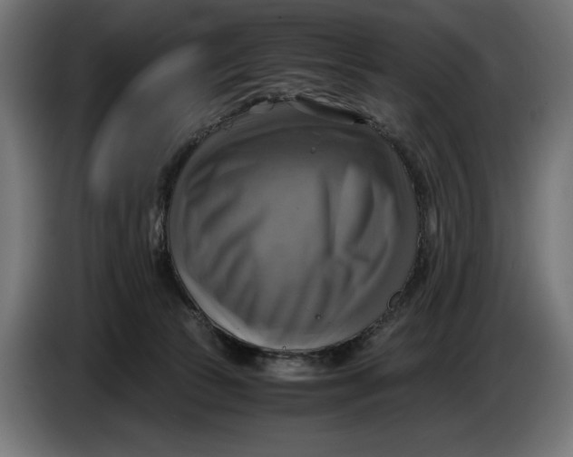 X0000086760177200705041455