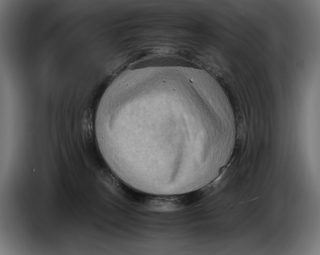 X0000086760179200705041455