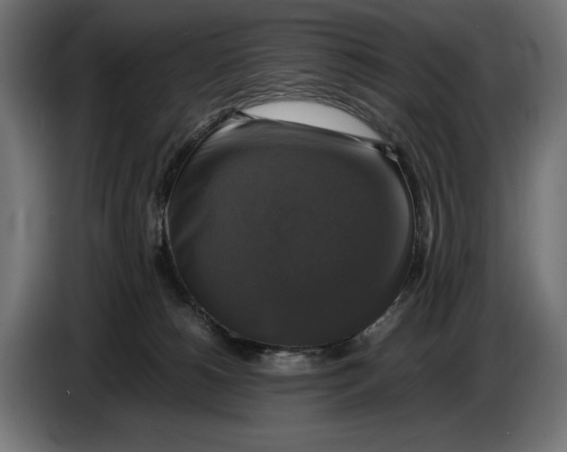 X0000086760180200705041455