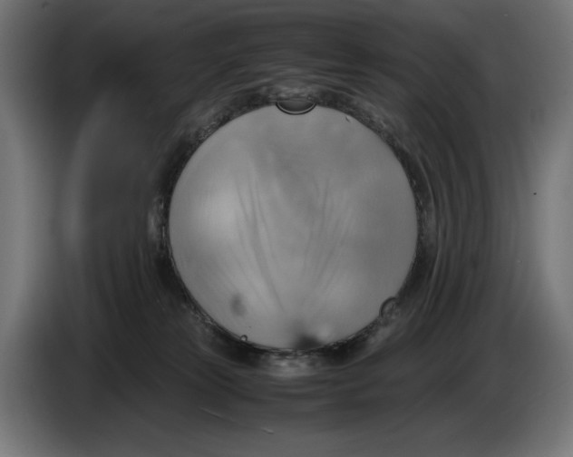 X0000086760181200705041455