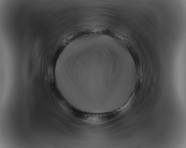 X0000086760182200705041455