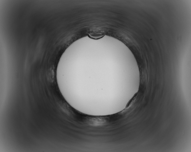 X0000086760183200705041455