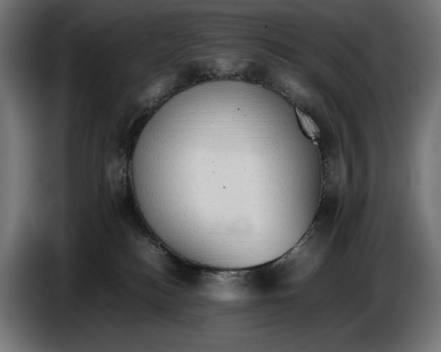 X0000086760184200705041455