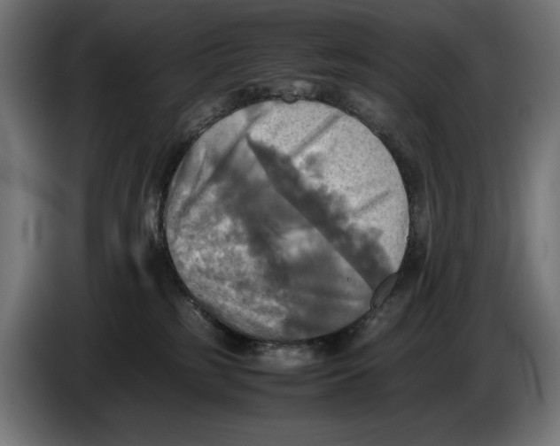 X0000086760185200705041455