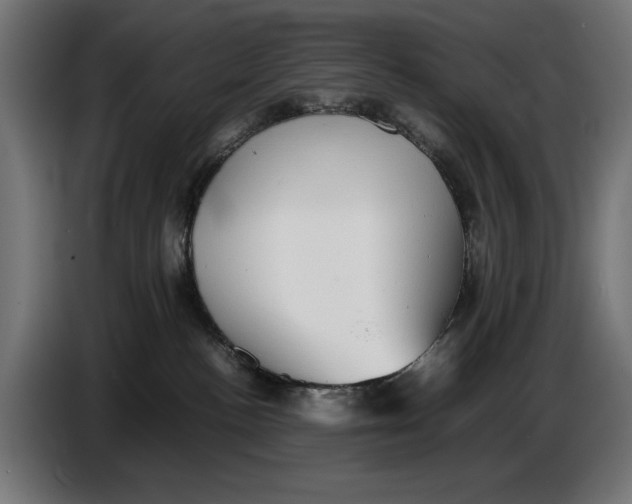 X0000086760188200705041455