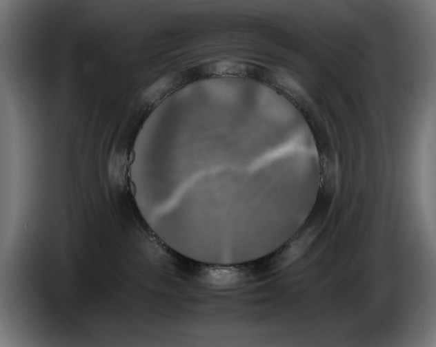 X0000086760189200705041455