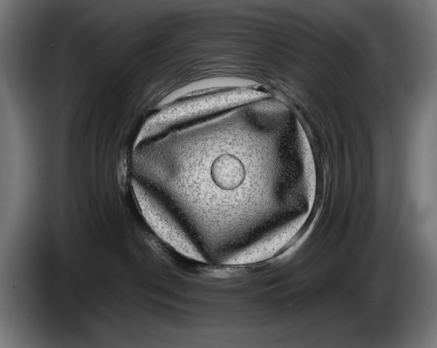 X0000086760190200705041455