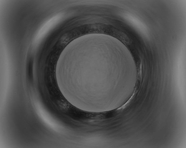 X0000086760191200705041455