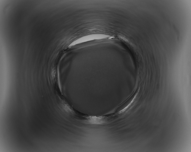 X0000086760192200705041455