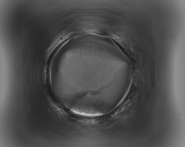 X0000086760194200705041455