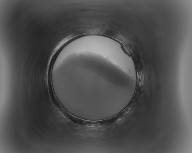 X0000086760196200705041455