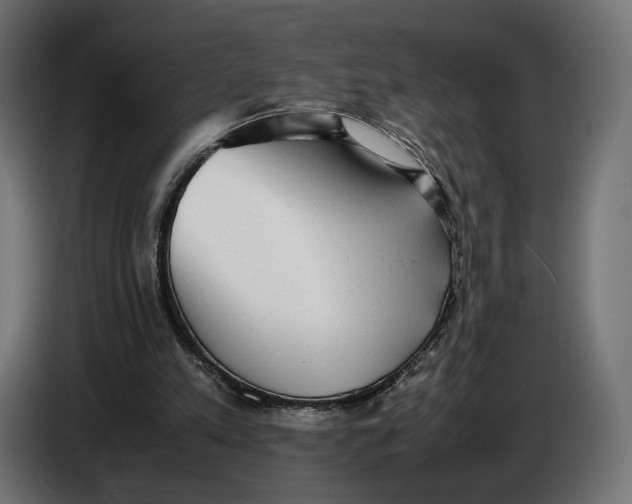 X0000086760197200705041455