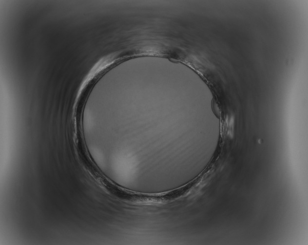 X0000086760198200705041455