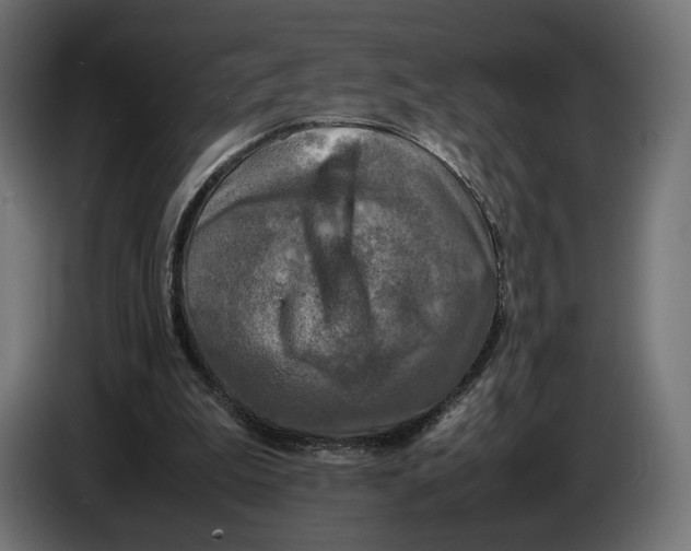 X0000086760199200705041455