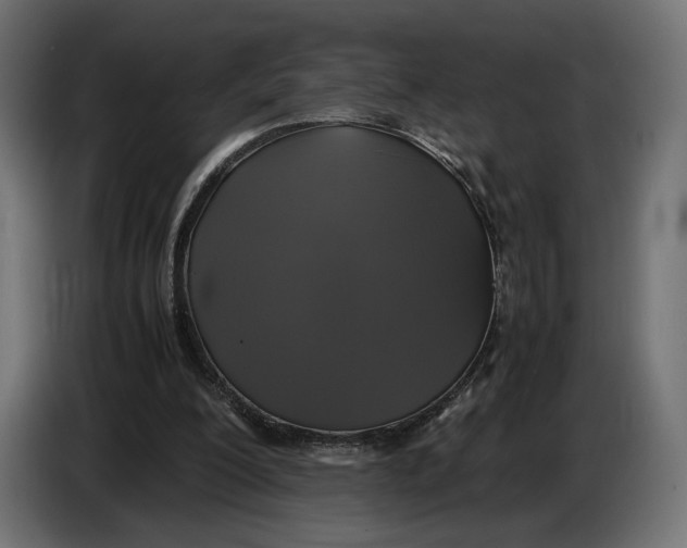 X0000086760200200705041455