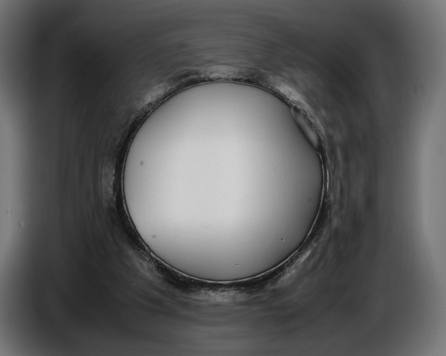 X0000086760201200705041455