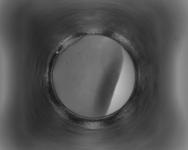 X0000086760202200705041455