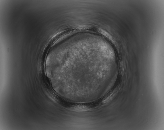 X0000086760203200705041455