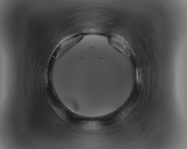 X0000086760204200705041455