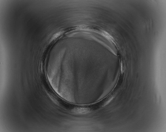 X0000086760205200705041455