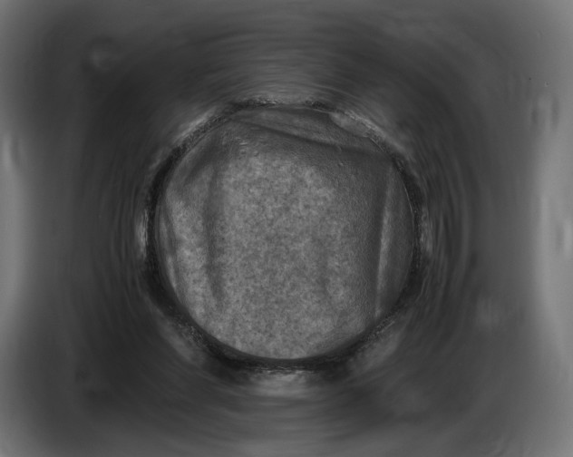 X0000086760206200705041455