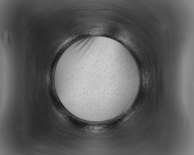 X0000086760208200705041454