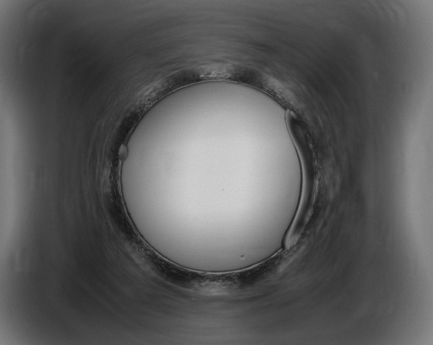 X0000086760209200705041454