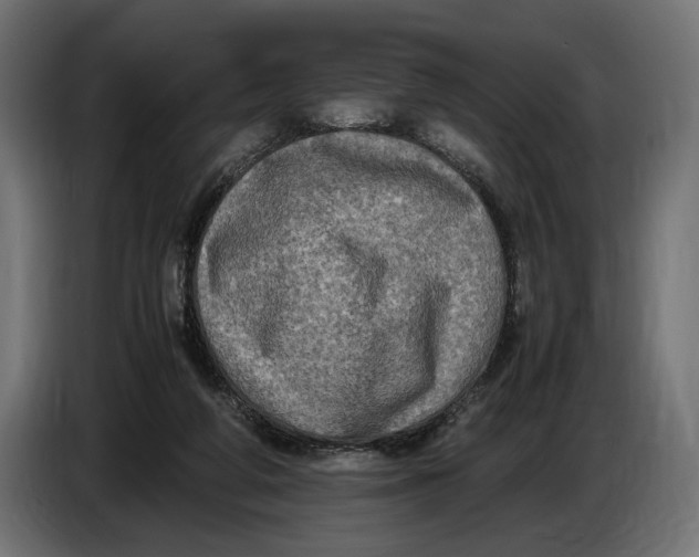 X0000086760210200705041454