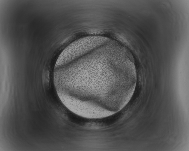 X0000086760211200705041454