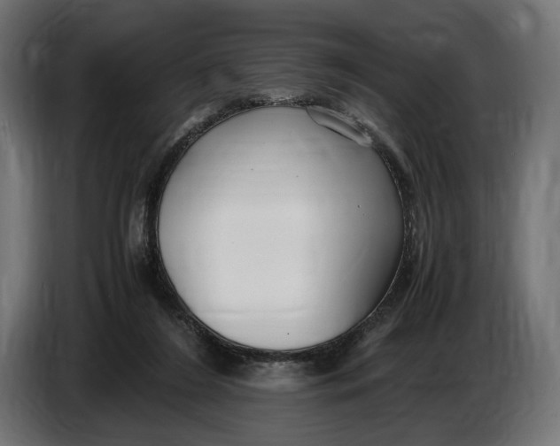 X0000086760212200705041454