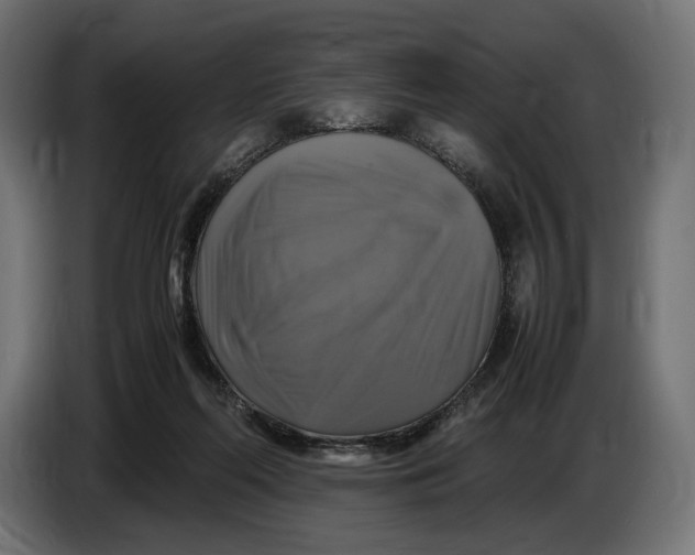 X0000086760214200705041454