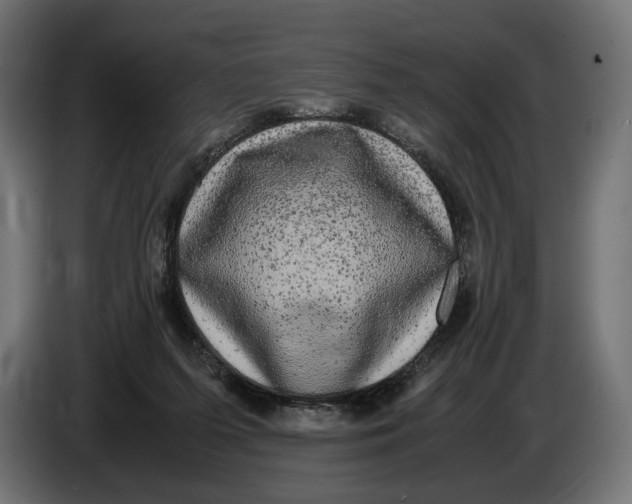 X0000086760215200705041454