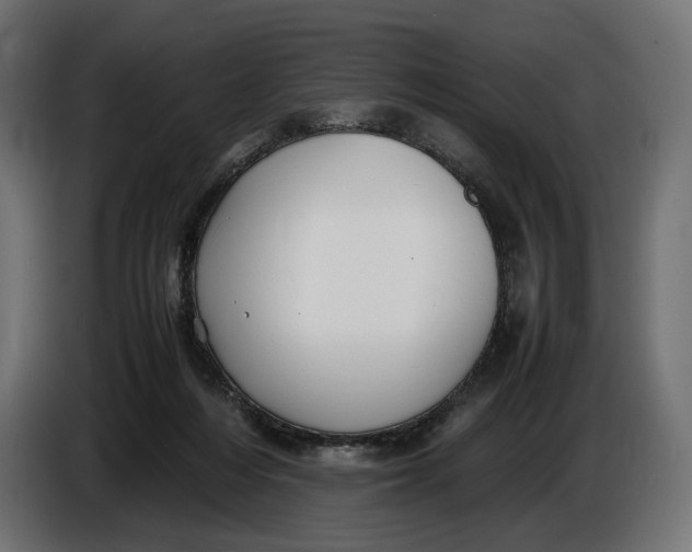 X0000086760216200705041454