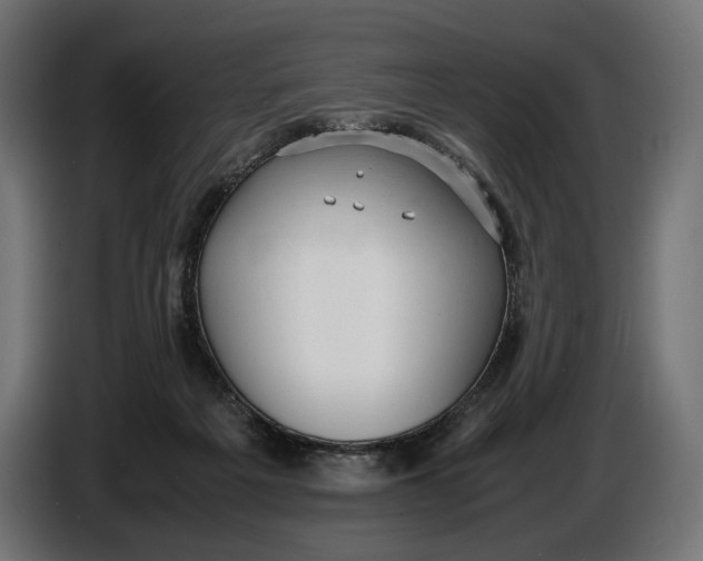 X0000086760217200705041454